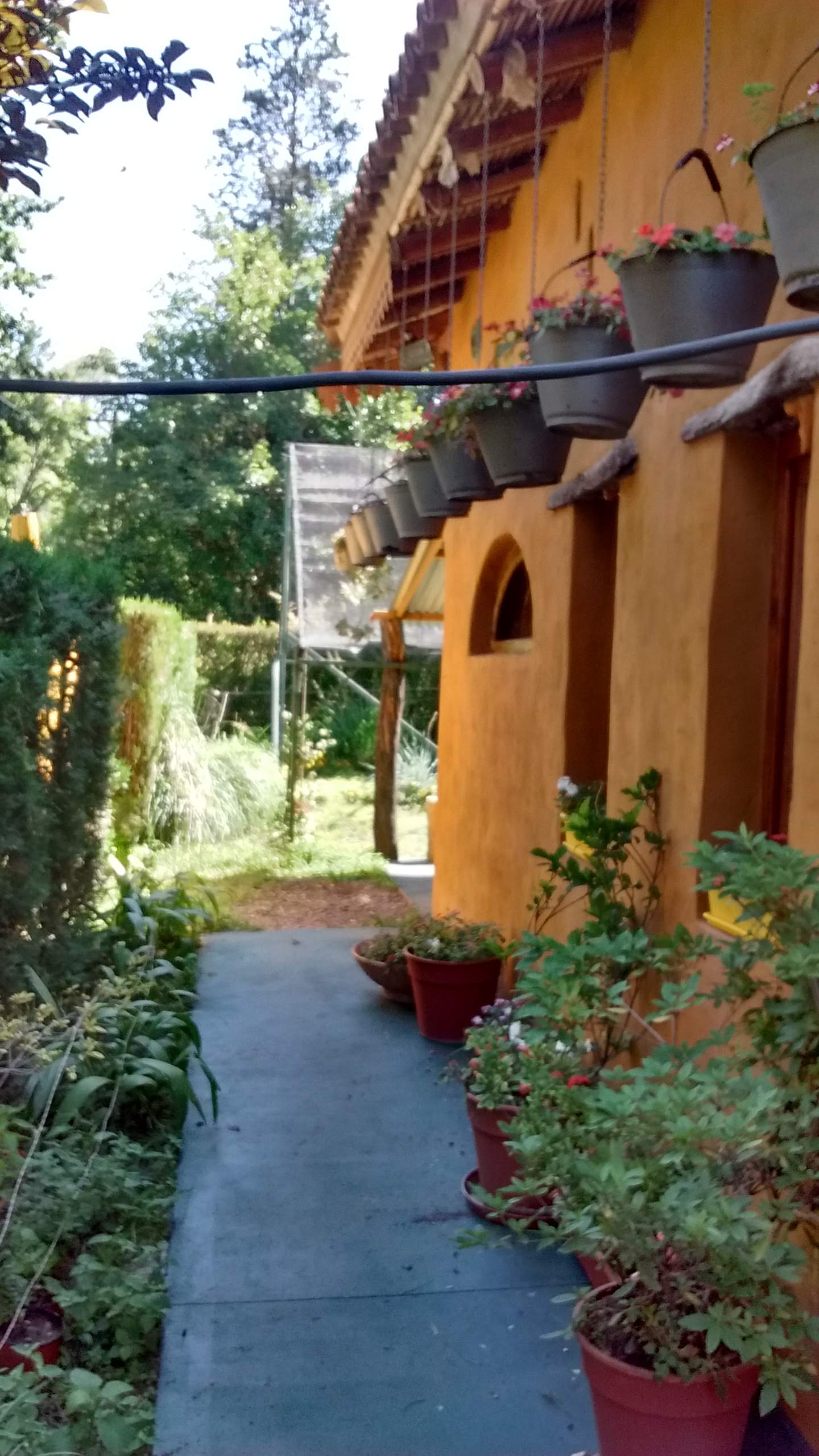 Cabaña, huerta y pileta de uso exclusivo.