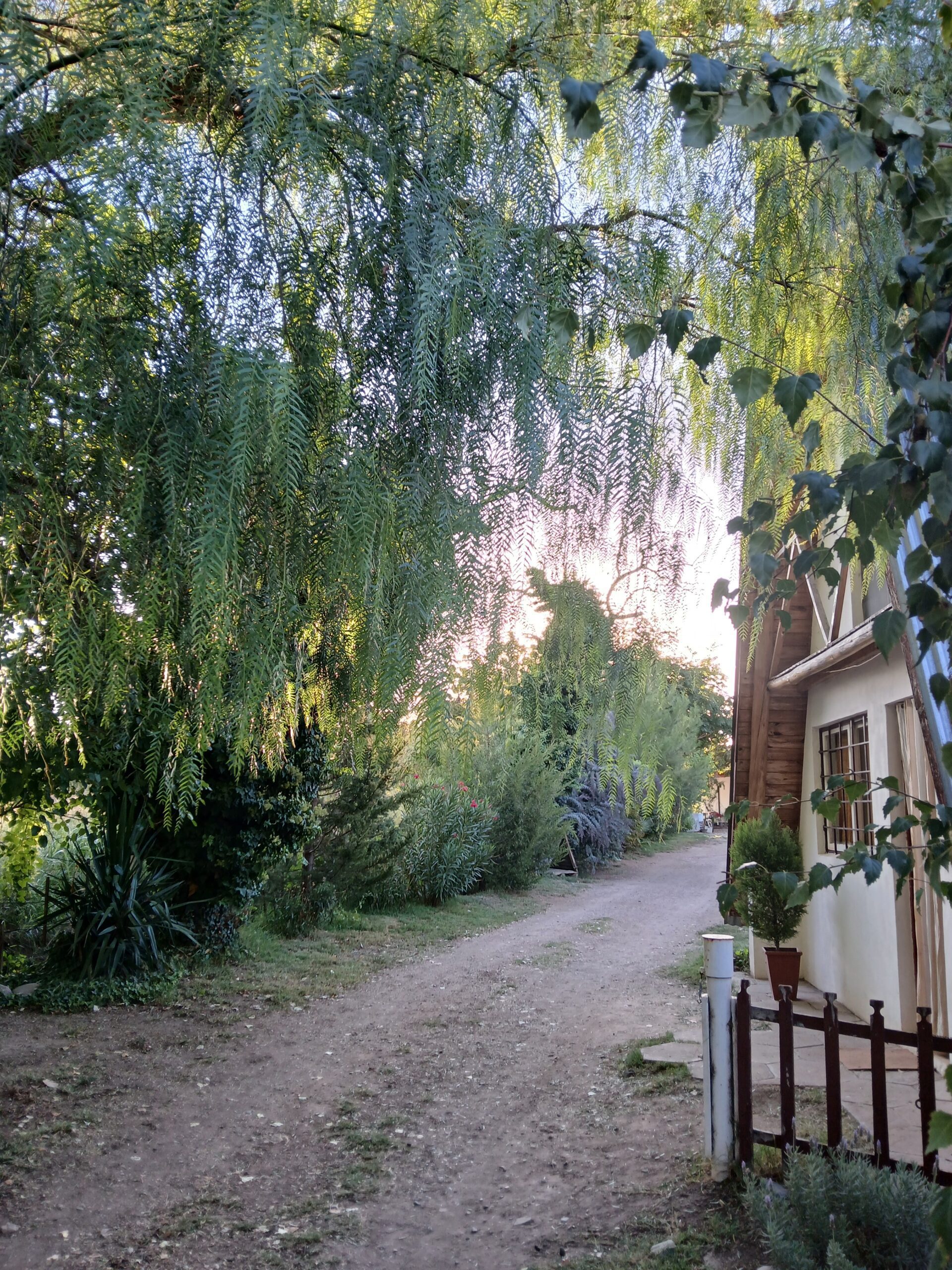 Contamos con 2 cabañas, hasta 5 huespedes c/u, con desayuno incluido, en San Rafael – Mendoza 🏡 zona Cuadro Benegas