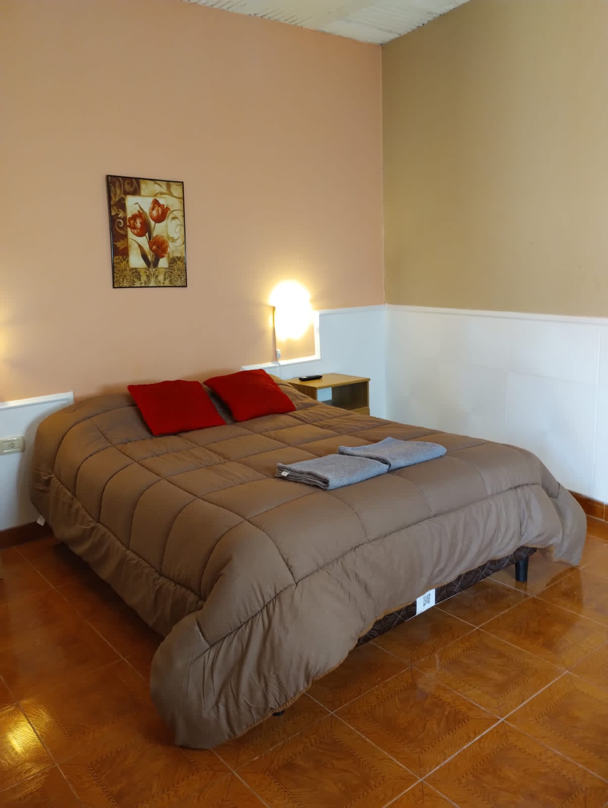 Francisca Viola Ortiz