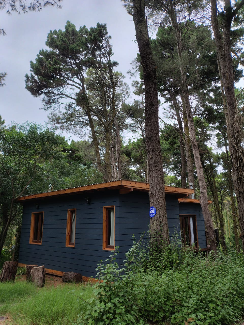 Cabaña mágica en el Bosque de Mar Azul