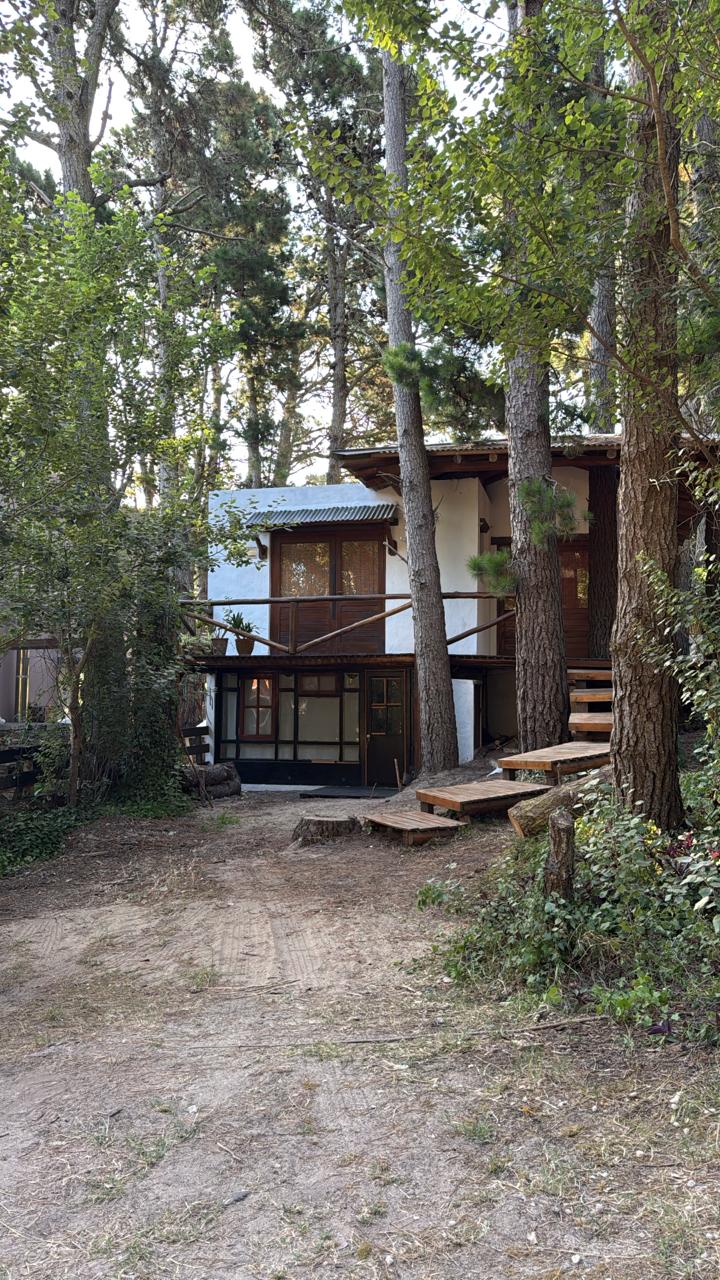 Casa entre pinos a minutos del mar