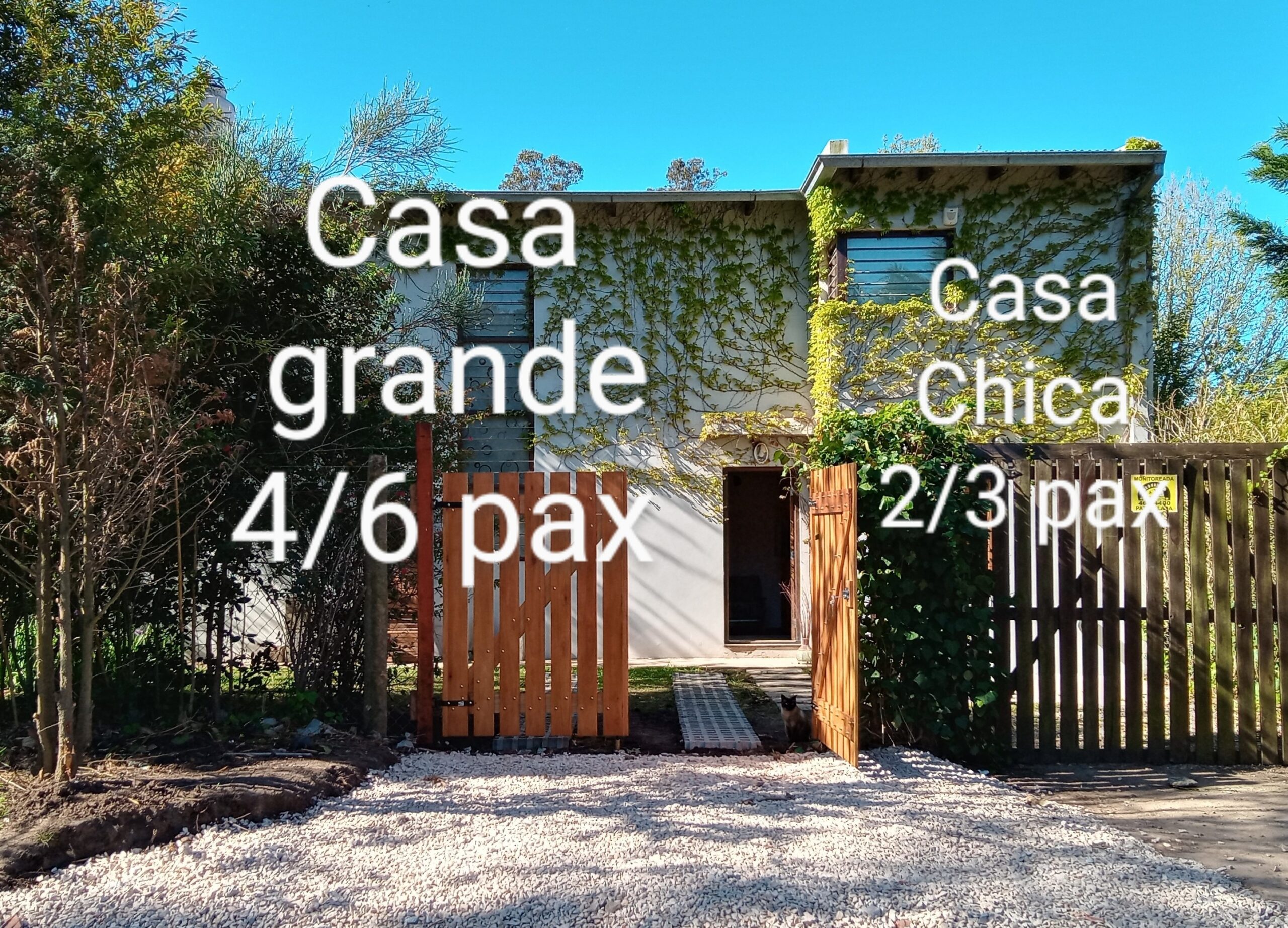 casa moderna frente al bosque