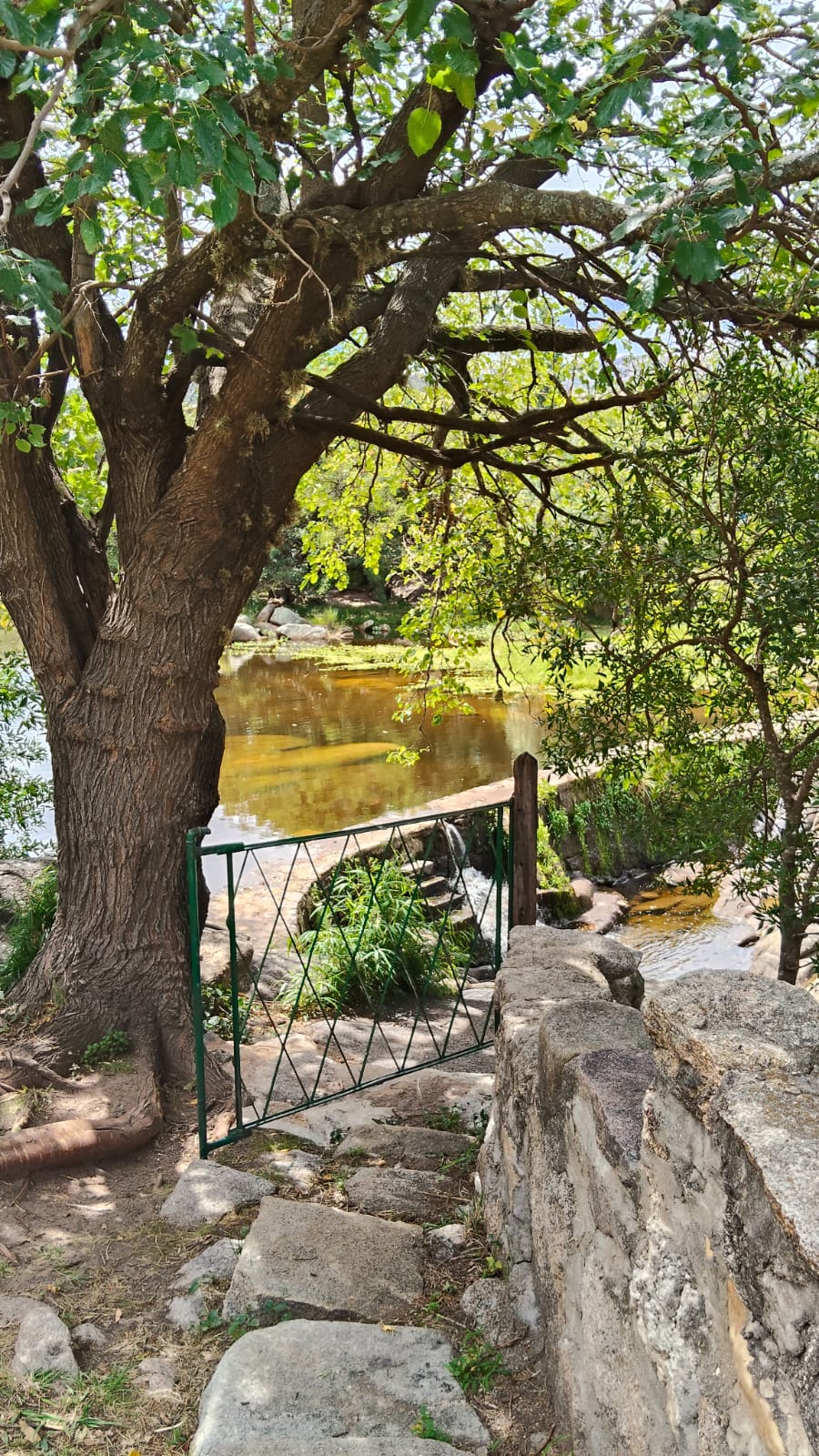 Cabañas monoambientes en la tranquilad de la montaña