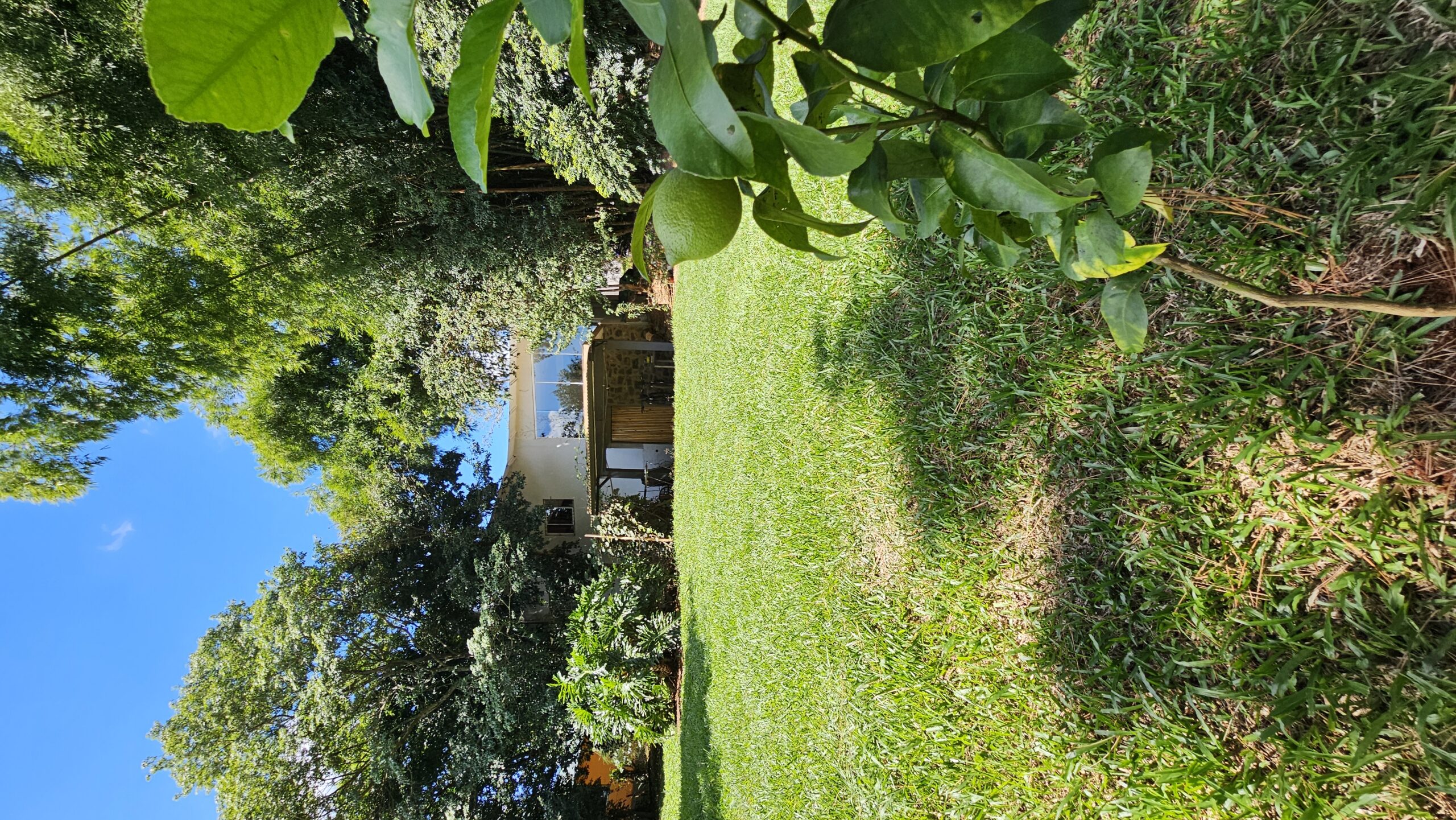 Residencia La Serena