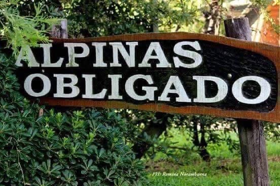 Bungalo